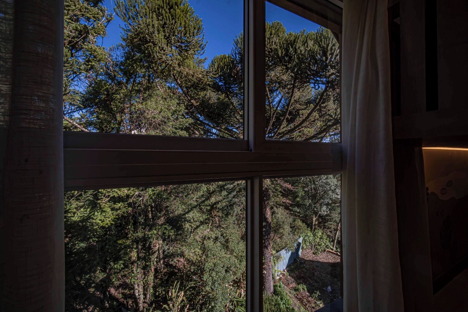 Casa en un árbol familiar, vistas a la ciudad | Vistas desde la habitación