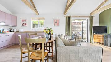 TV, fireplace, books