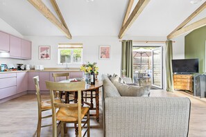 TV, fireplace, books