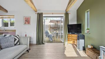 TV, fireplace, books