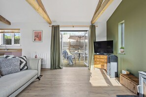 TV, fireplace, books