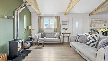 TV, fireplace, books