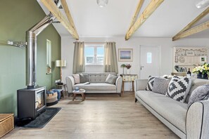 TV, fireplace, books