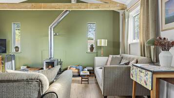 TV, fireplace, books