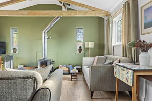 TV, fireplace, books