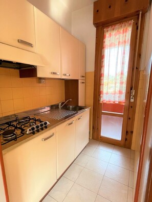 Fridge, microwave, stovetop, cookware/dishes/utensils