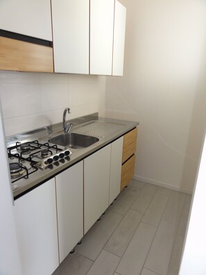 Fridge, stovetop, cookware/dishes/utensils