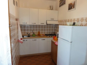 Fridge, stovetop, cookware/dishes/utensils