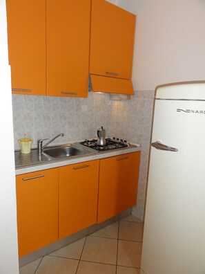 Fridge, microwave, stovetop, cookware/dishes/utensils