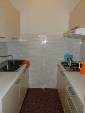 Fridge, microwave, stovetop, cookware/dishes/utensils