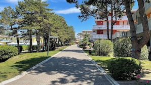 A paved pathway lined with trees and a building with balconies.