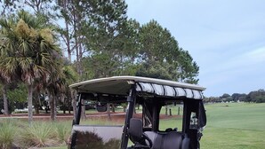 Un golf cart parcheggiato su un prato con alberi sullo sfondo.