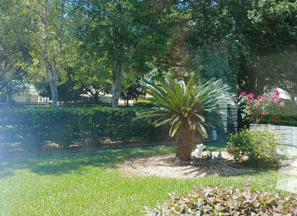 المنطقة المحيطة بالمنشأة