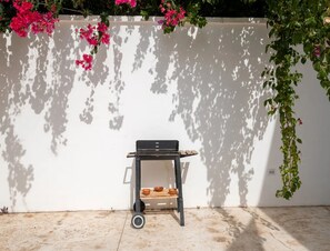 Un espace patio comprenant un barbecue sur un support, une petite étagère avec des bols et un sol en béton.