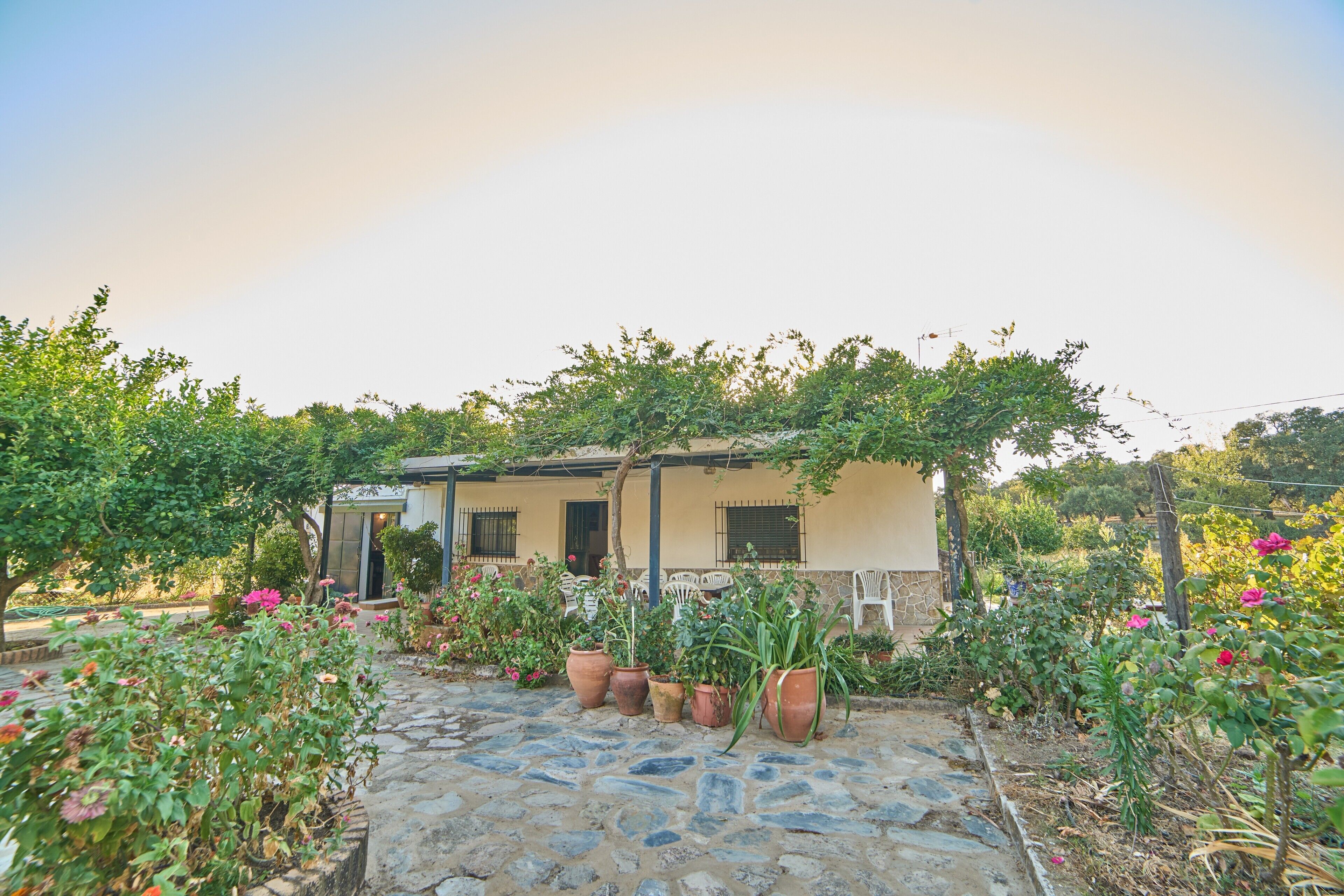 A rustic house with a stone pathway, potted plants, and a garden.