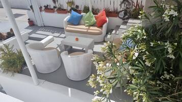 Terras