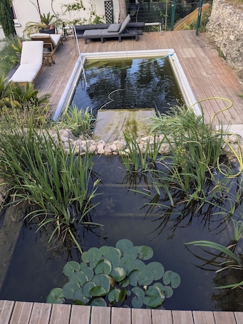 A wooden deck with a small pond, surrounded by plants and a lounge area with cushions.. View, charm & natural pool