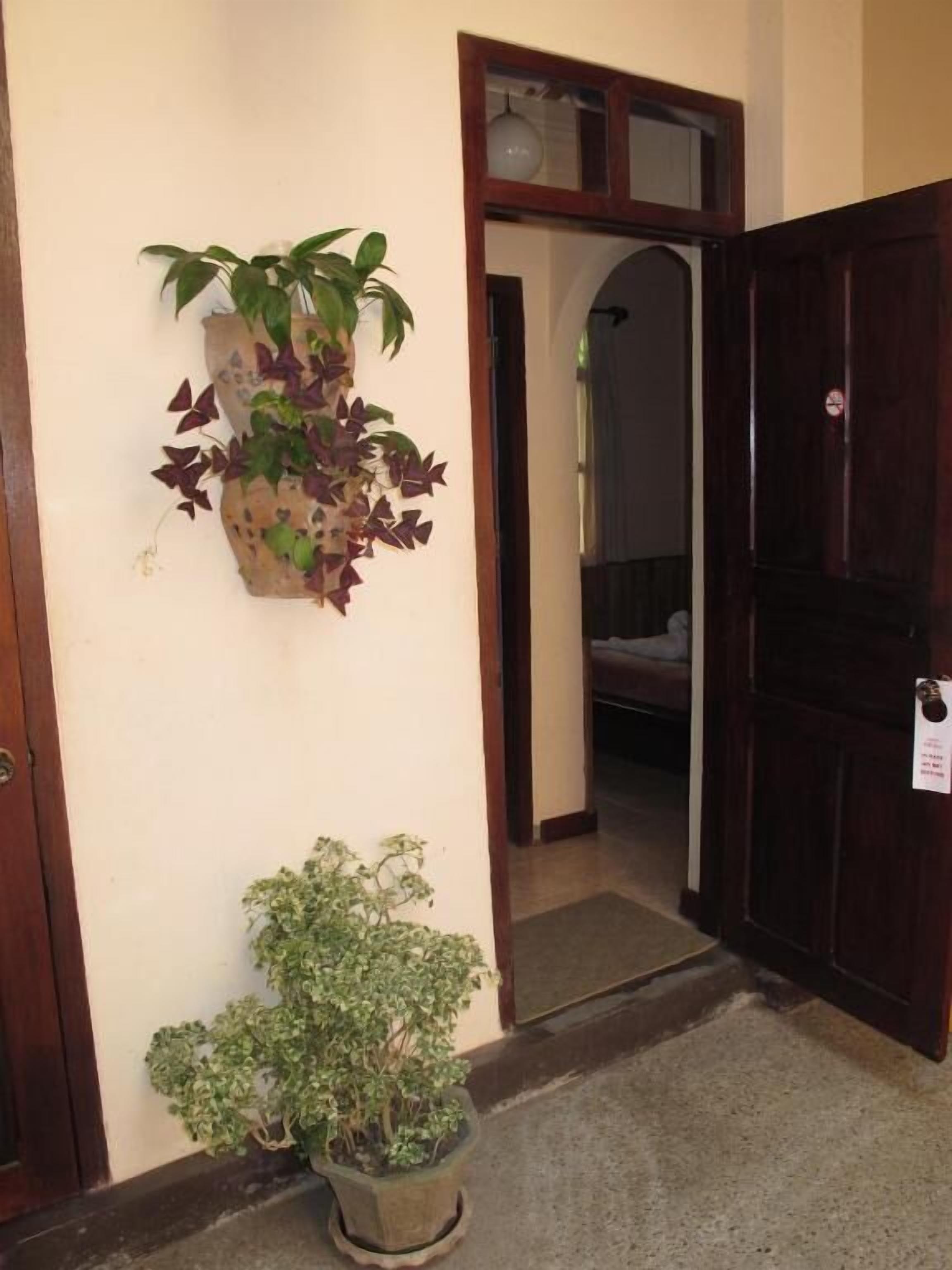 A doorway leading to a room with a wooden door and a small potted plant on the floor.