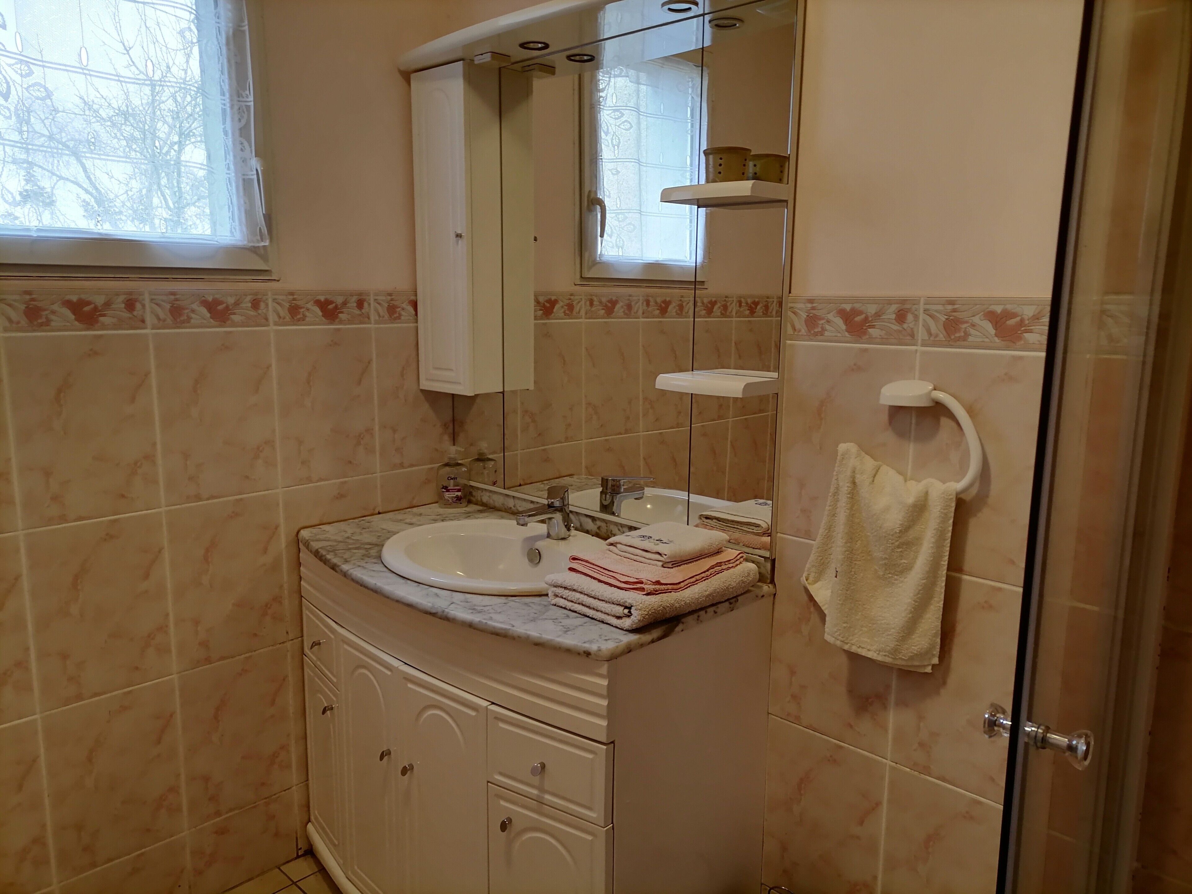 Een badkamer met een wastafel, spiegel en douchecabine met glazen wanden.