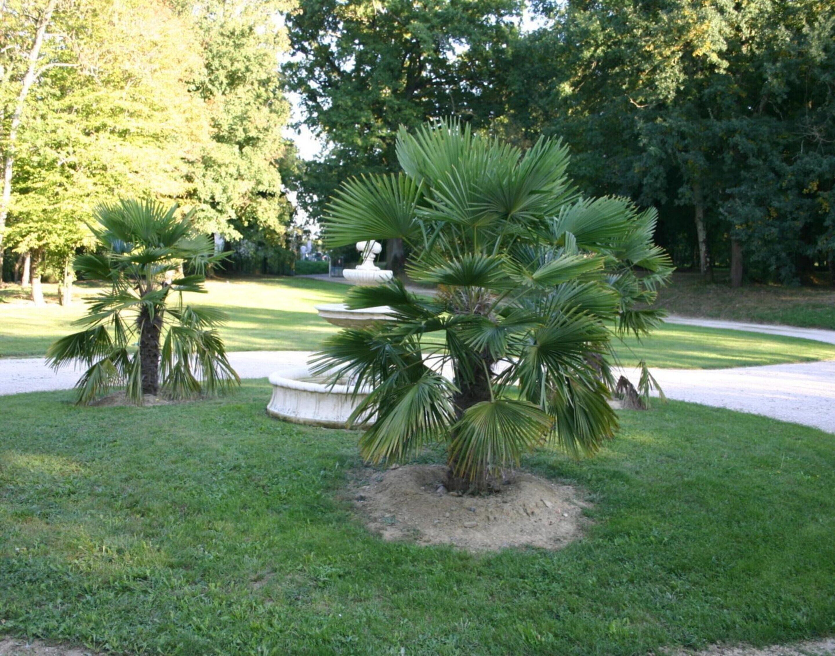 Classic House, 4 Bedrooms | Garden