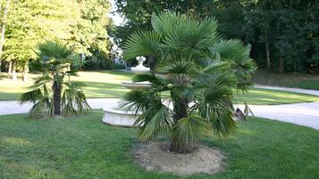 Classic House, 4 Bedrooms | Garden