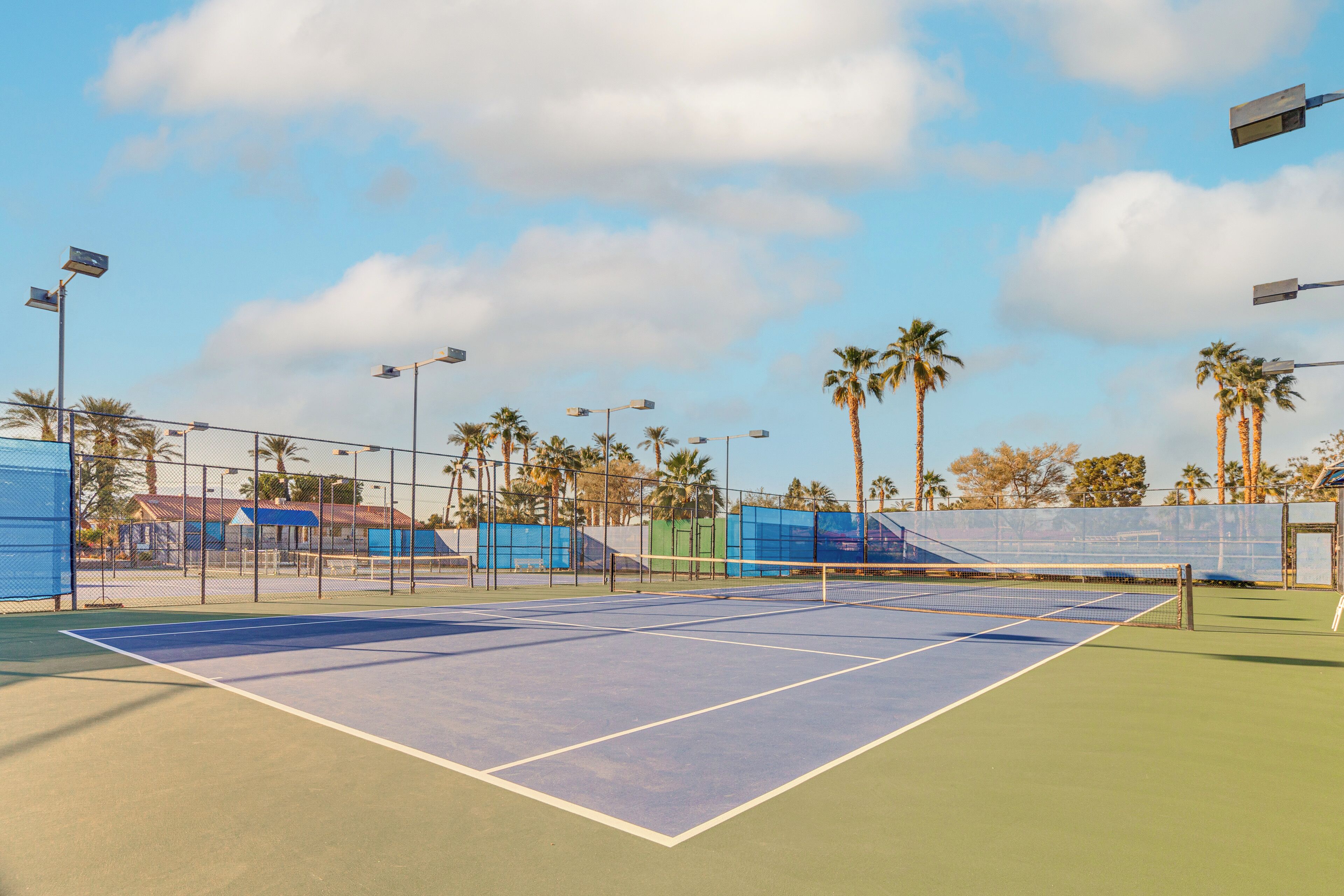 Un court de tennis avec un filet, entouré d’une clôture, et des palmiers en arrière-plan.