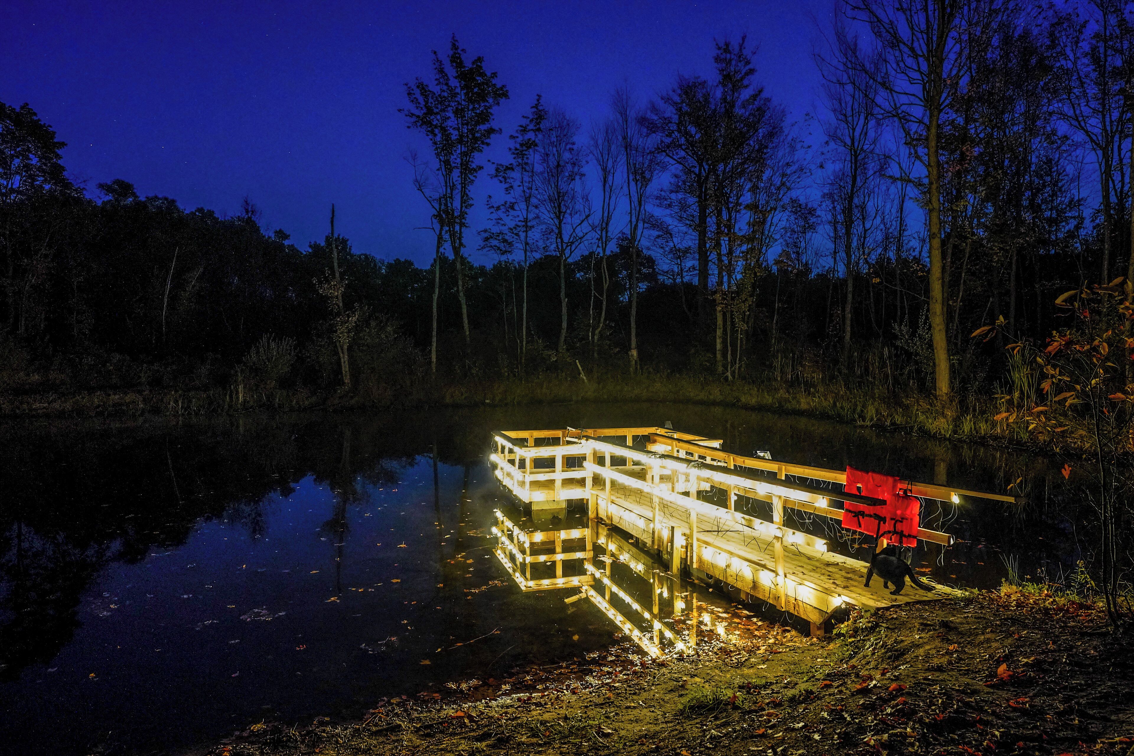 A dock extending into a calm body of water, surrounded by trees and a clear night sky.