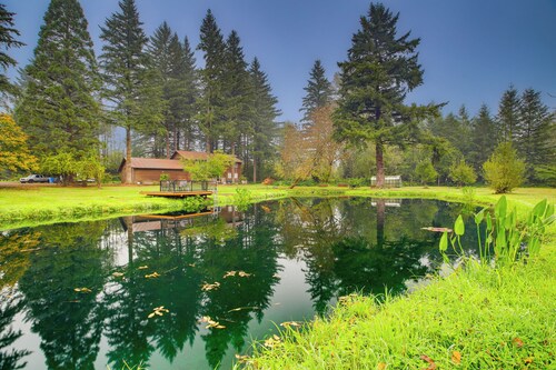 3 Acres! Spacious Waterfront Home in Amboy