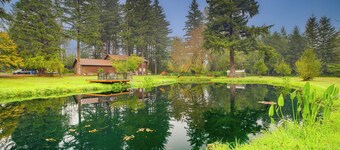 3 Acres! Spacious Waterfront Home in Amboy