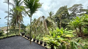 A tropical garden with various plants and a gravel path. - B11 Sunset Plaza Partial Seaview 1 Bedroom 1 Bathroom With Large Jaguzzi (Karon)