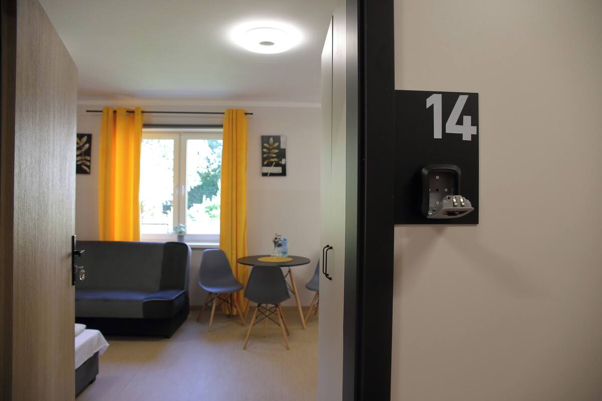 Standard-Studiosuite, 1 Doppelbett und Schlafsofa, Kochnische | Laptopgeeigneter Arbeitsplatz, kostenloses WLAN