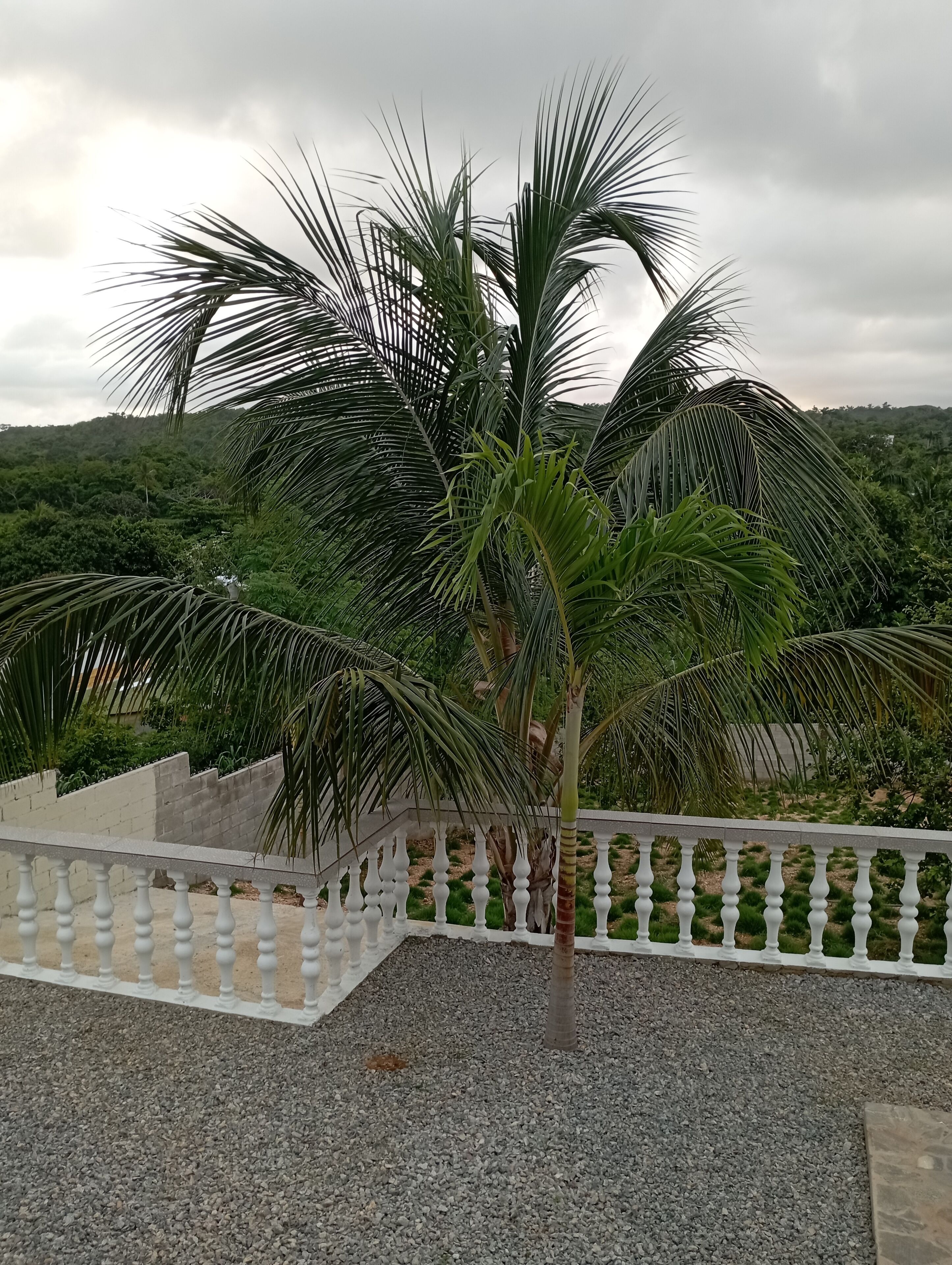 Áreas de la propiedad