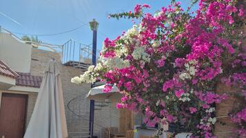 Camera, 1 camera da letto, fumatori, balcone | Terrazza/patio