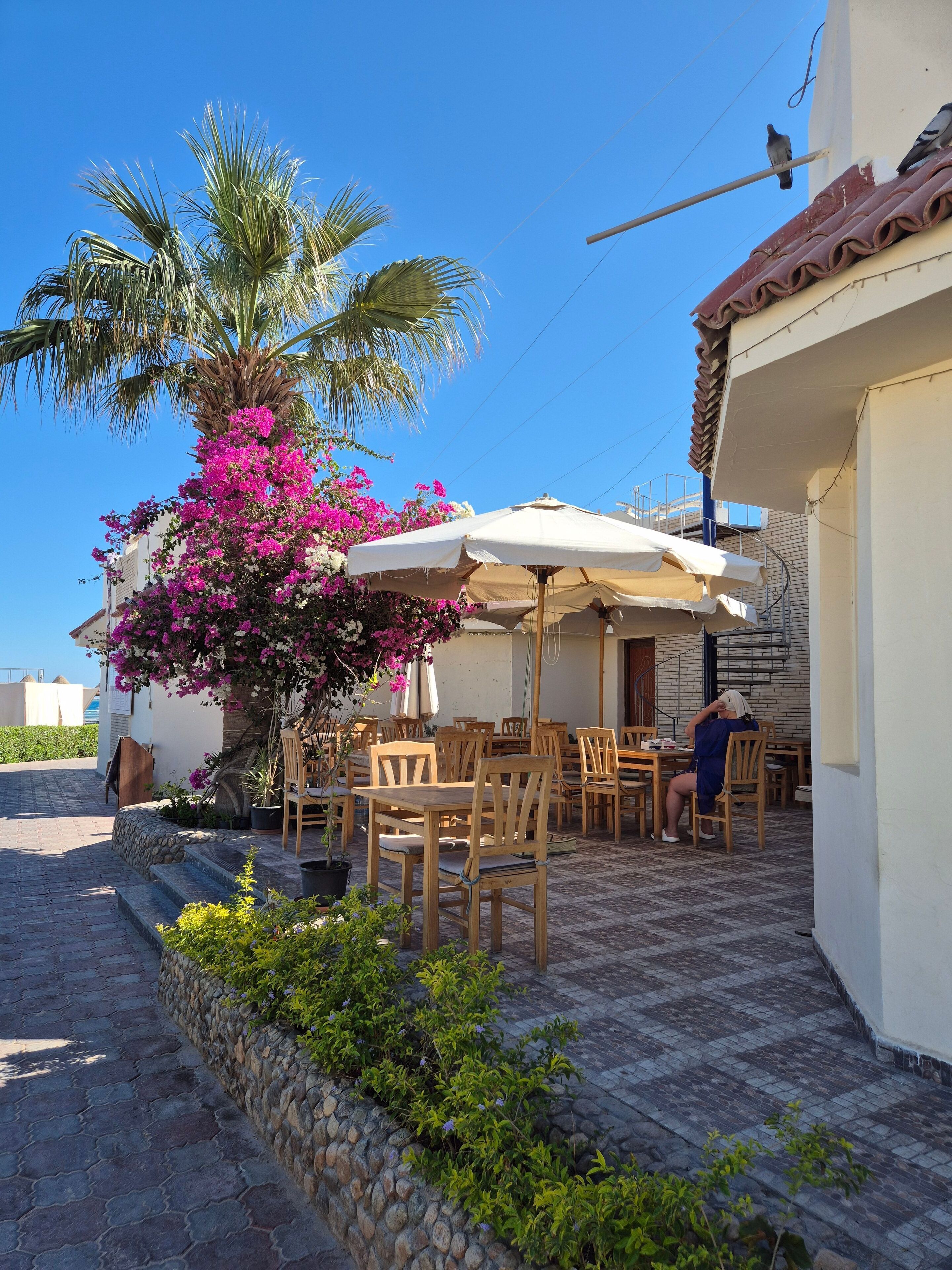 Kamer, 1 slaapkamer, roken, balkon | Terras