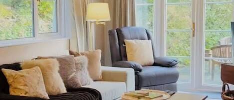 Télévision, cheminée, espaces bureaux