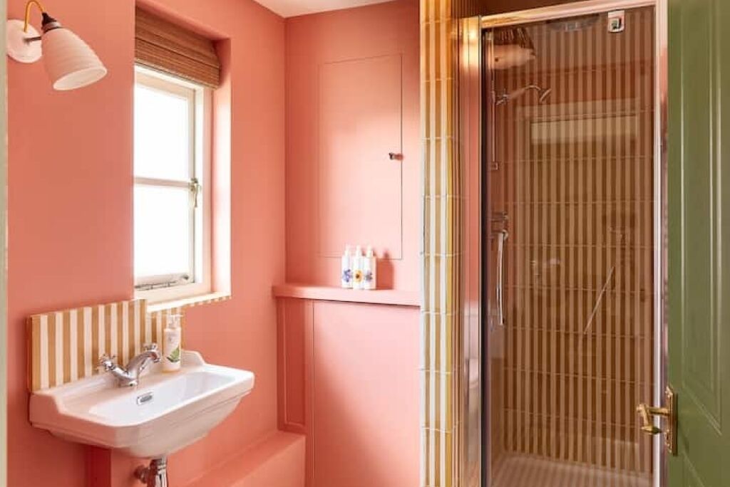 Hair dryer, soap, shampoo, toilet paper