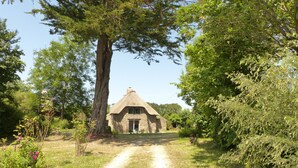 Un charmant cottage au toit de chaume, entouré d’une végétation luxuriante, avec un chemin dégagé menant à sa porte.