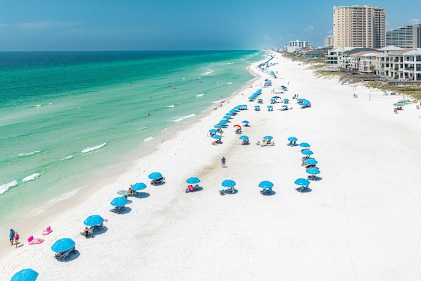 A beach with rows of blue umbrellas and beach chairs, a sandy shore, and buildings in the background.