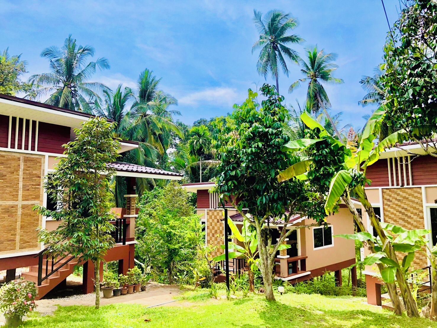 A residential area with multiple two-story houses, surrounded by lush greenery and palm trees.