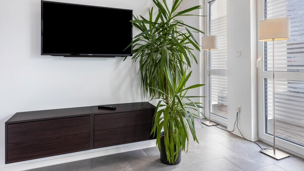 A modern living room with a flat-screen TV, dark wooden cabinet, potted plant, and large windows.