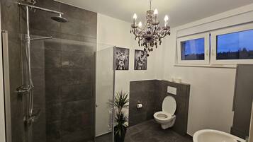 Ducha, secador de pelo, toallas