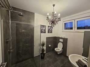 Shower, hair dryer, towels