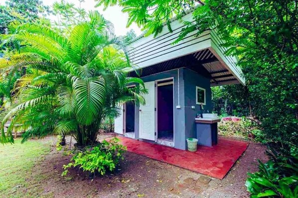 Shower, towels, soap, toilet paper