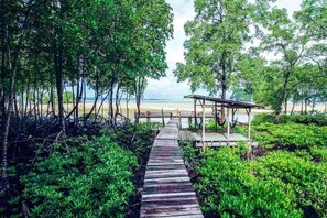 Camera familiare, vista mare | Lenzuola