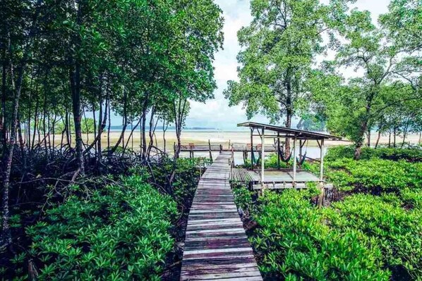 家庭客房, 海景 | 床單