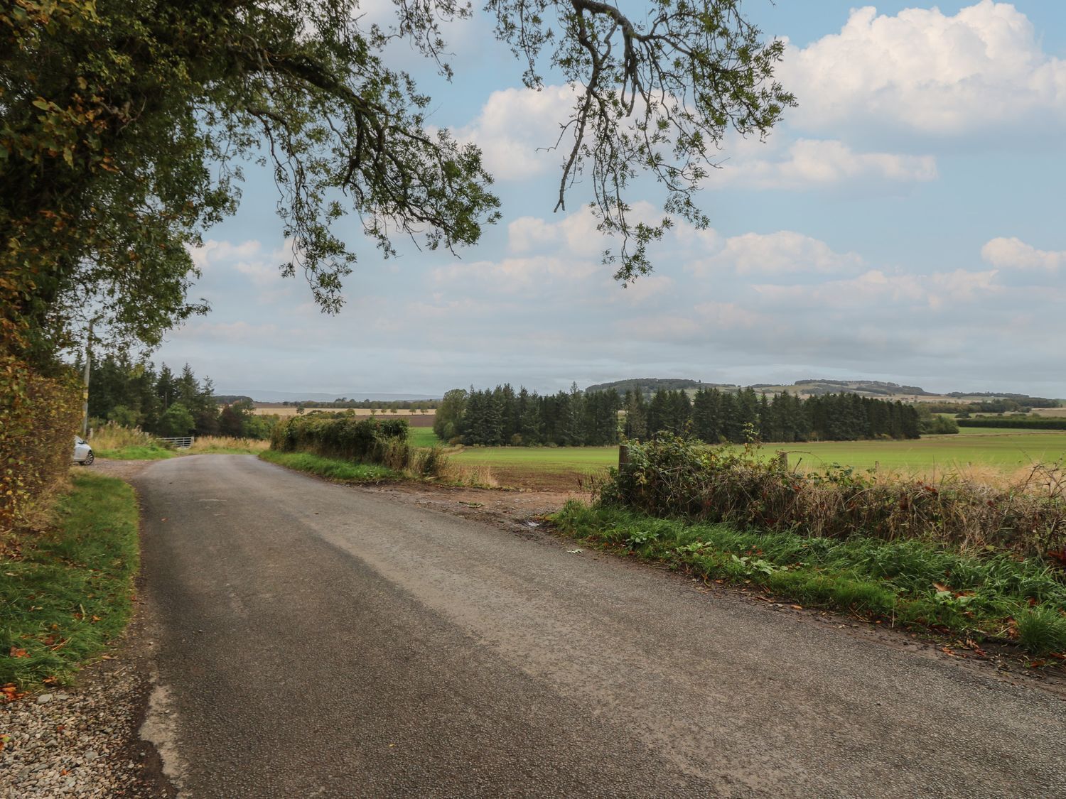 A rural road with a white car parked on the side, surrounded by greenery and fields.