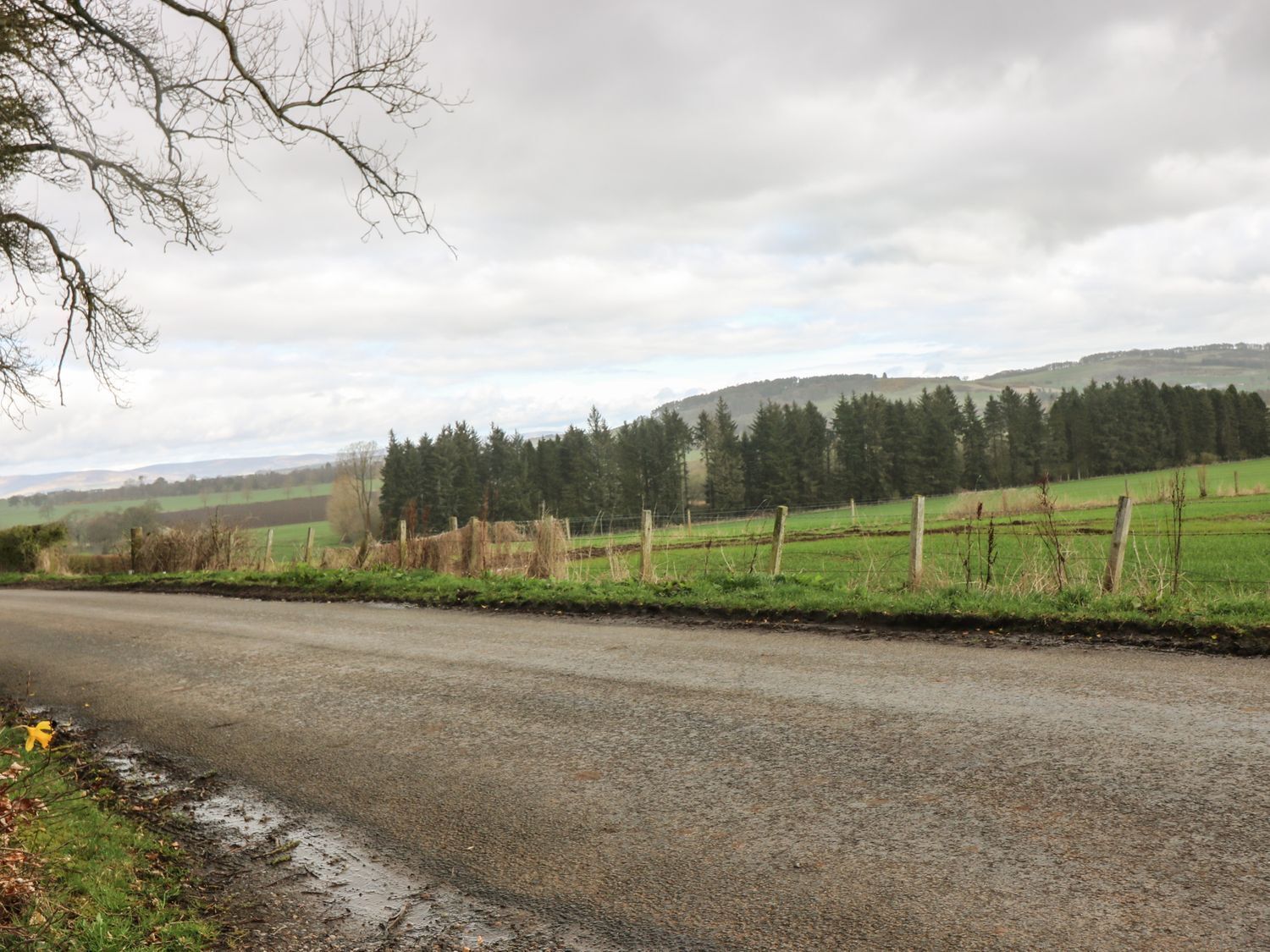 A rural road with a fence and fields on either side.
