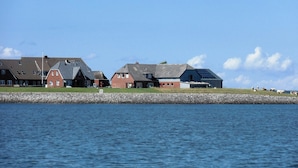 Eksteriør