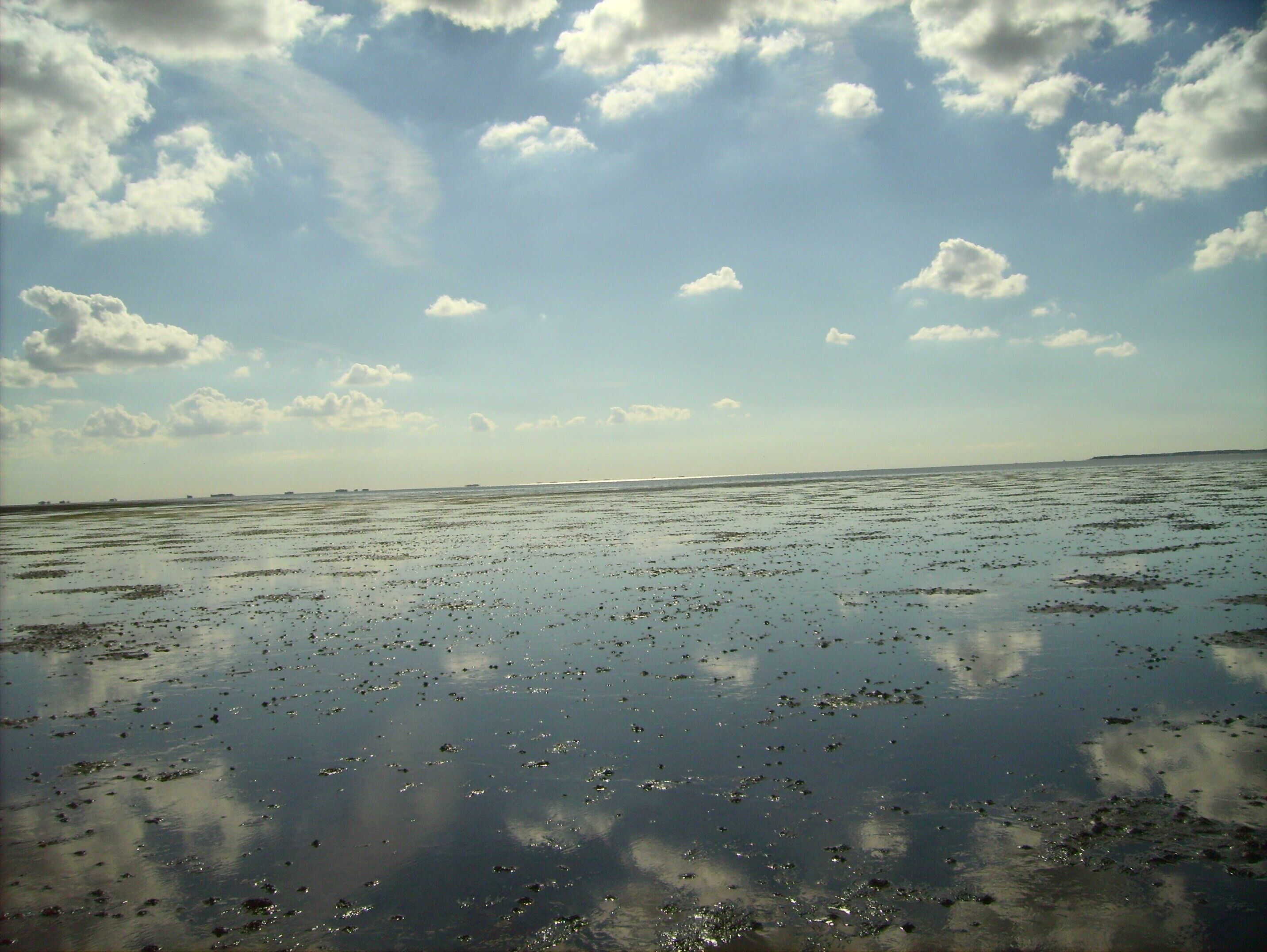Tæt på stranden