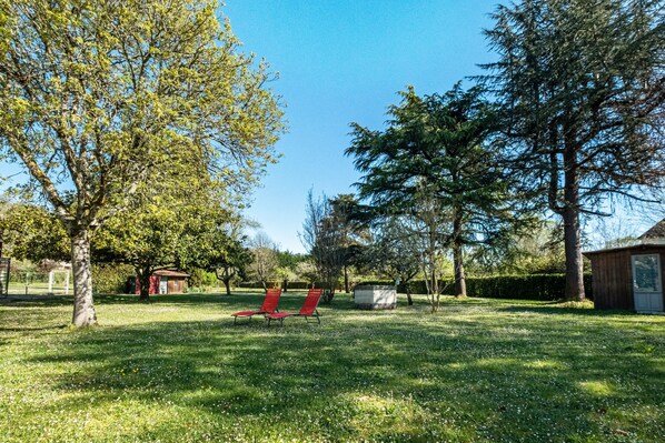 Un espacio al aire libre con césped, dos sillones rojos, un cobertizo pequeño y un edificio de madera.